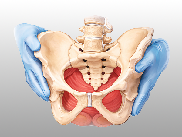 CST in Urogynecology and Reconstructive Pelvic Surgery